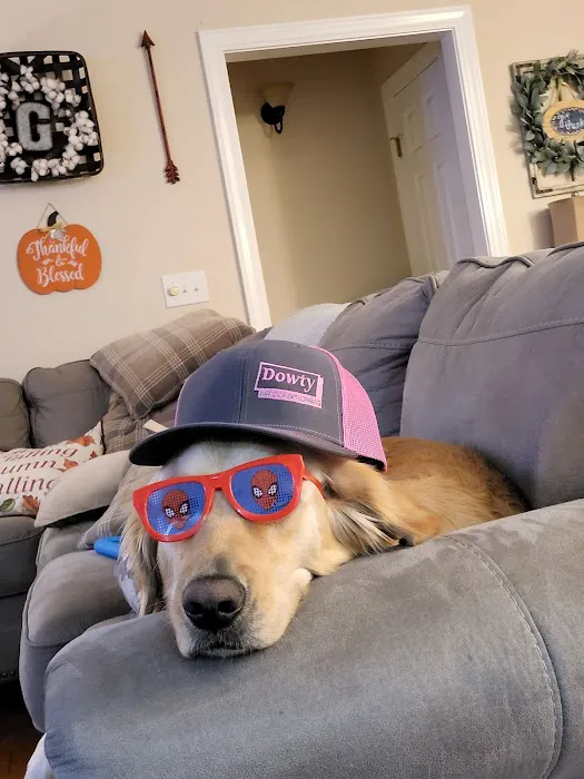 Dowty Air Conditioning,LLC Picture 4