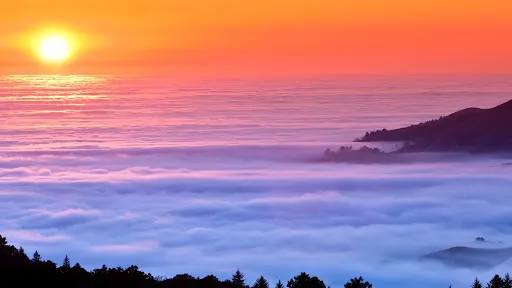 Langley Maintenance Inc. PO Box 377 Red Oak, NC 27868 Picture 1