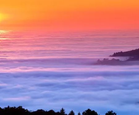 Langley Maintenance Inc. PO Box 377 Red Oak, NC 27868