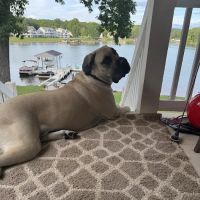 S.M.L Heating and Air ico