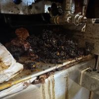 Statewide Service ico