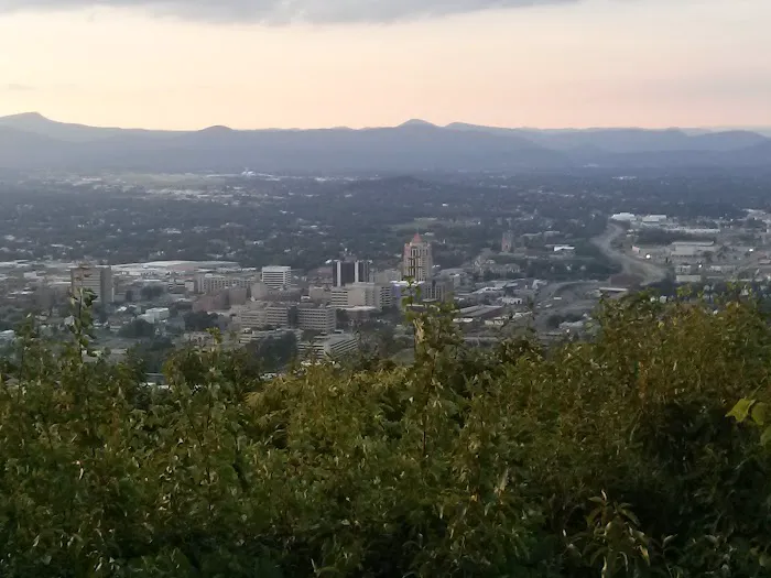 LW Pro Solutions Picture 9