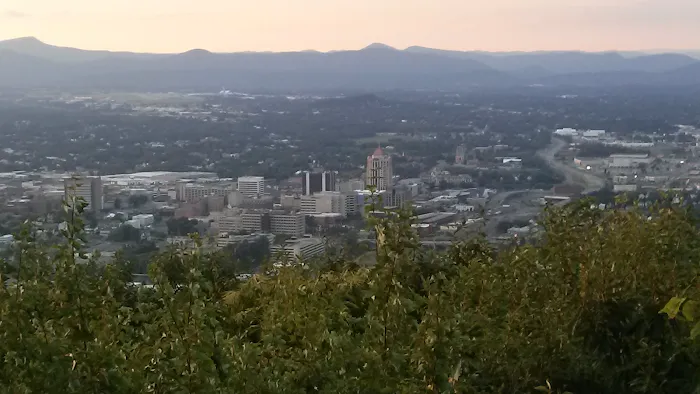 LW Pro Solutions Picture 2