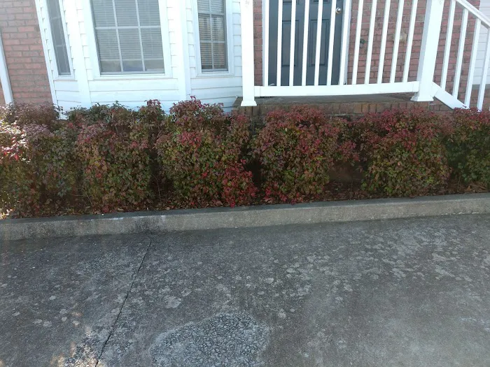 All Things Lawn Care and Home Maintenance Picture 8