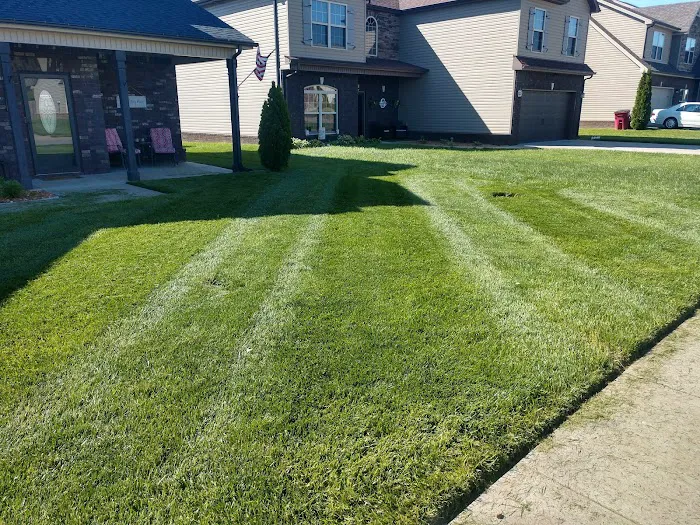 All Things Lawn Care and Home Maintenance Picture 1
