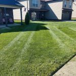 All Things Lawn Care and Home Maintenance