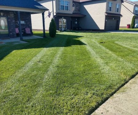 All Things Lawn Care and Home Maintenance