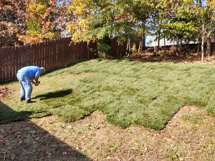 All Things Lawn Care and Home Maintenance Picture 6