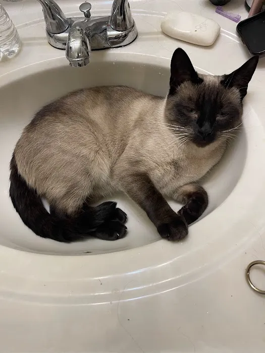 Dial First Heating & Cooling Picture 1