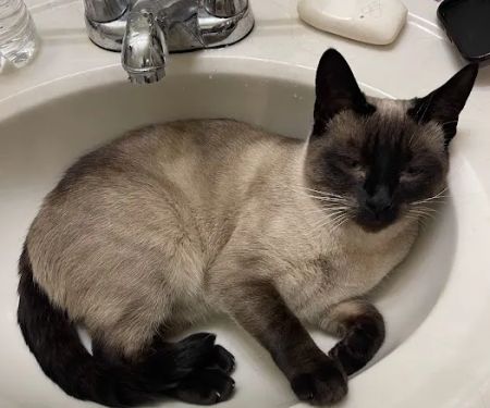 Dial First Heating & Cooling