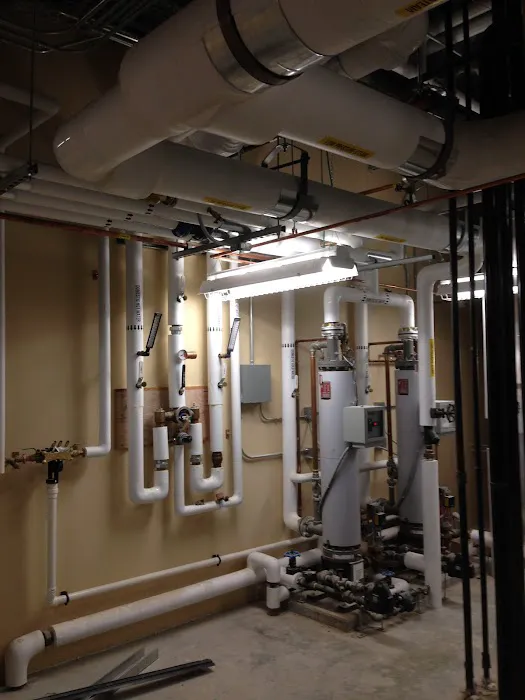 Schardein Mechanical Picture 4