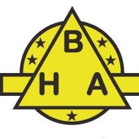 Boyle Heating & Air Conditioning Inc ico