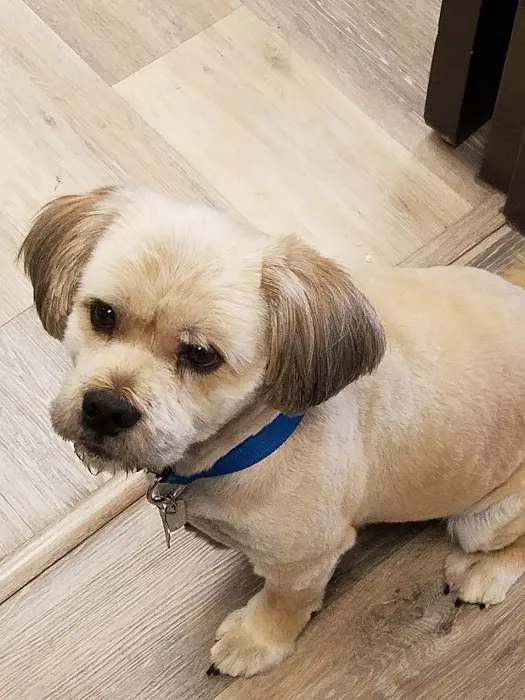 Carolina Commercial Systems Picture 8