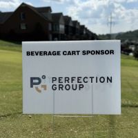 Perfection Group ico