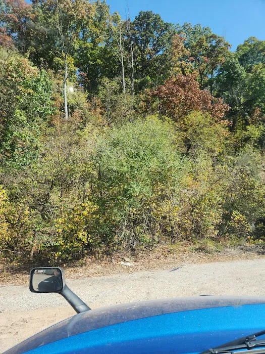 Lute Supply Picture 6