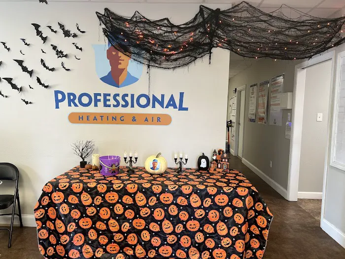 Professional Heating & Air Picture 10