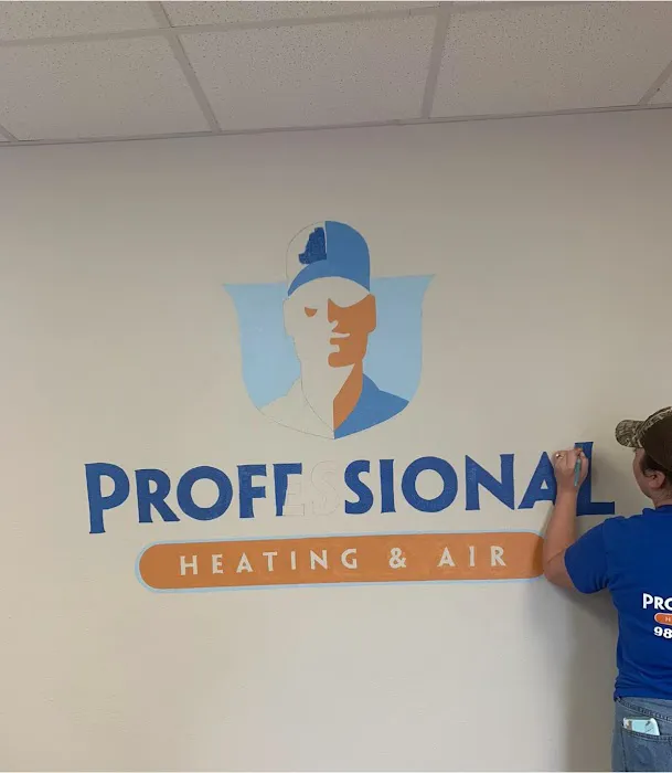 Professional Heating & Air Picture 5