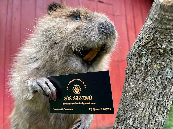 Pineapple Mechanical LLC Picture 8