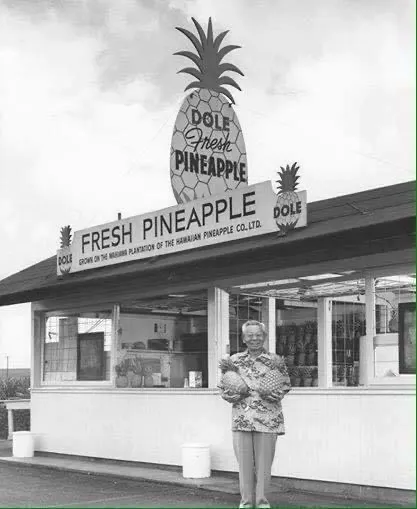 Pineapple Mechanical LLC Picture 4