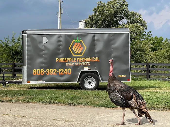 Pineapple Mechanical LLC Picture 3