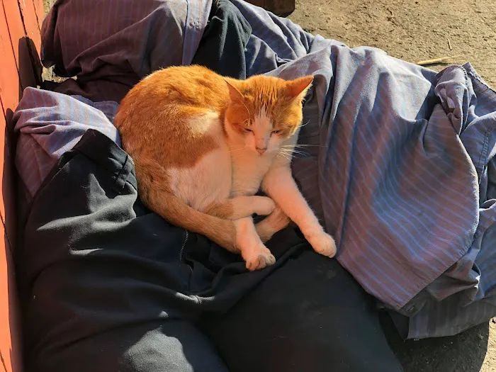 Charlie's Service Center Picture 7