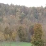 Code Red Heating, Air Conditioning & Refrigeration