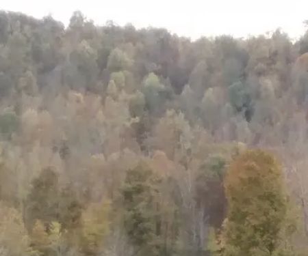 Code Red Heating, Air Conditioning & Refrigeration