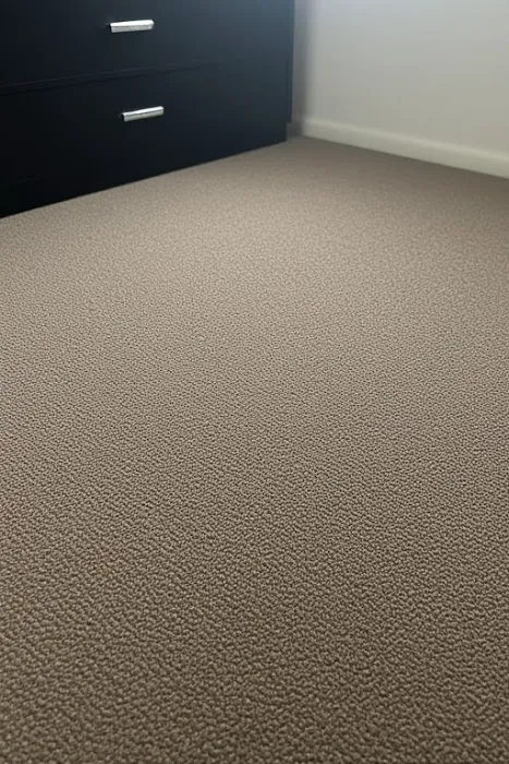 American Home Shield ProConnect Picture 1