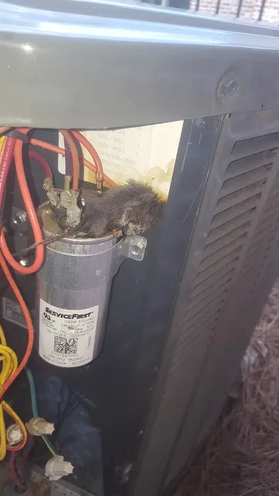 Comfort Control Picture 6