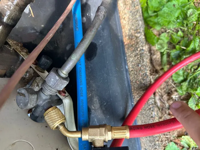 The AC Doctors Picture 9