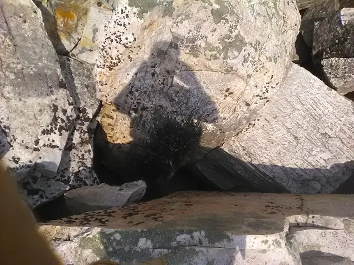 Des Air Duct Service Picture 9