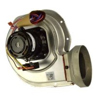 CE (Carrier Enterprise) - Lynchburg ico