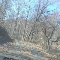 Botetourt Mechanical Inc ico