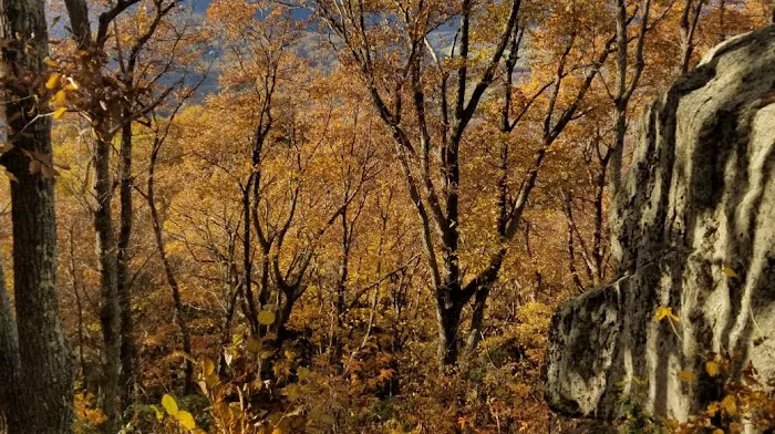 Botetourt Mechanical Inc Picture 10