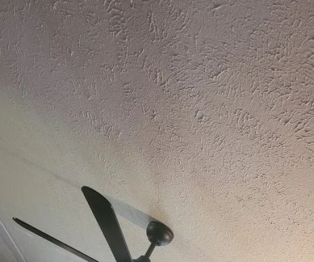 Mister Sparky of Central West Virginia