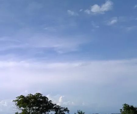 Adkins Appliance & Refrigeration Services