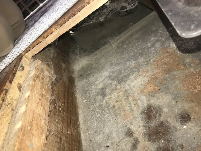 Maven Air Care Picture 8