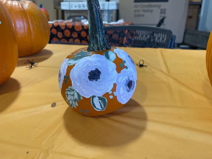 Professional Heating & Air Picture 7