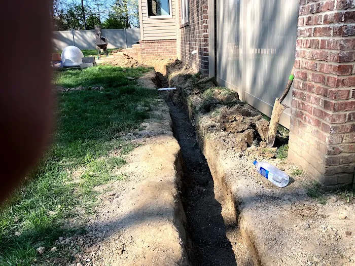 The Crawlspace Ace Picture 10