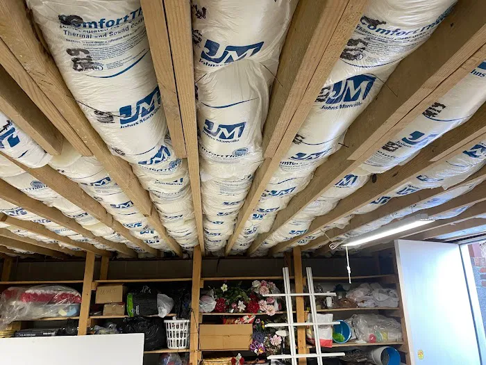 The Crawlspace Ace Picture 4