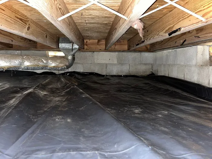 The Crawlspace Ace Picture 2