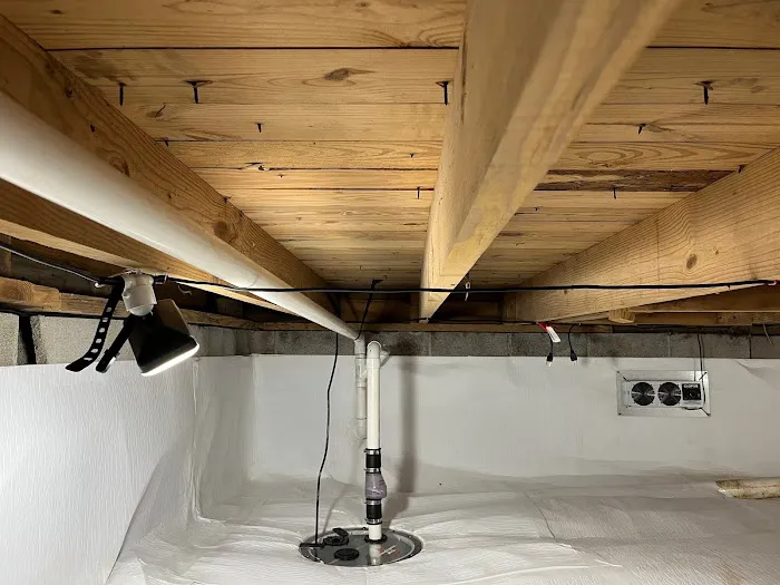 The Crawlspace Ace Picture 3