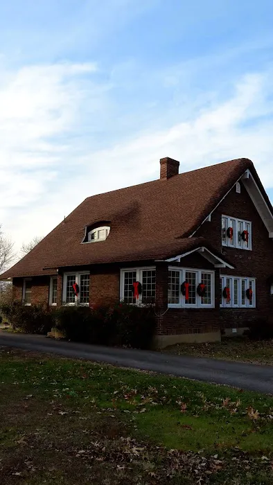 Drea Enterprises Picture 5