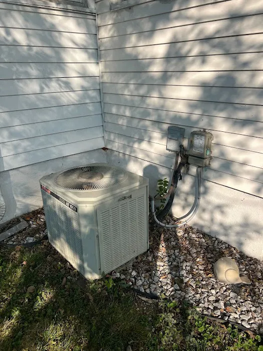 One Choice Mechanical Picture 4