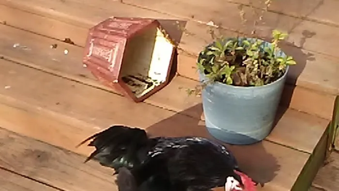 Mike Shouse Heating Cooling & Electric llc Picture 2