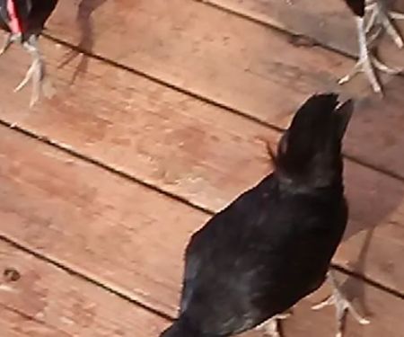 Mike Shouse Heating Cooling & Electric llc