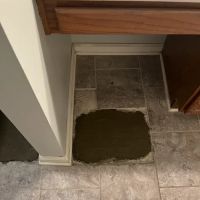 Dauenhauer Plumbing Heating Air & Electric ico