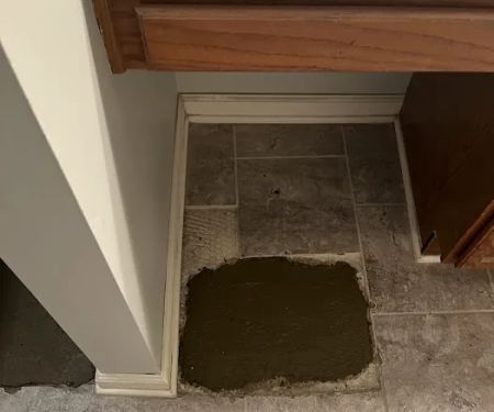 Dauenhauer Plumbing Heating Air & Electric