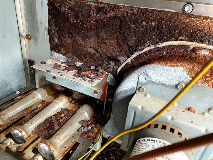 Chadwell Comforts Picture 5