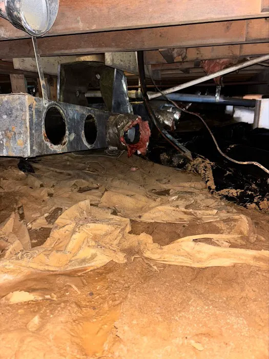 Chadwell Comforts Picture 7